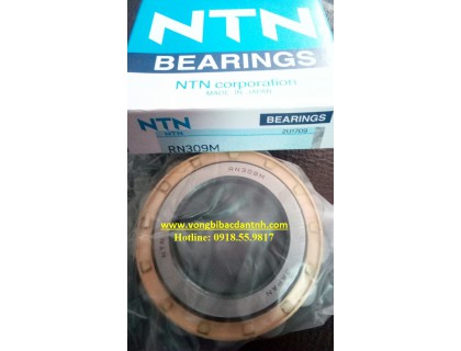 VÒNG BI RN309M